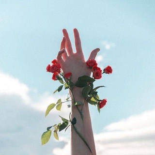 Истина на ладони | Саморазвитие