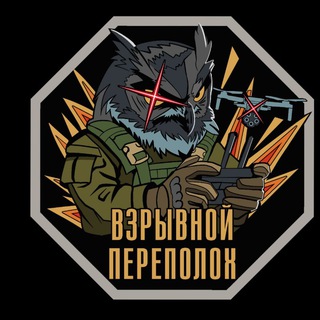   Взрывной переполох 💣 💥🦉