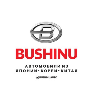   BUSHINUAUTO