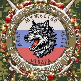   БАЛТИЙСКИЕ ВОЛКИ