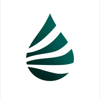   Медиа-агентство ВШН