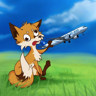   Авиационная Антресоль