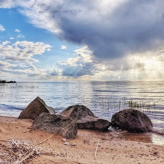   Граждане Гдовского края