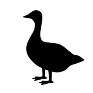   Гусь в Берлине