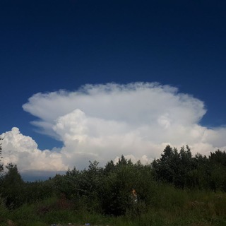   Грозы в Санкт-Петербурге и области