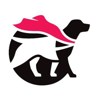   Собаки-помощники🦮