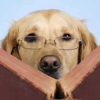   Information Retriever