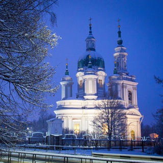   Кингисепп l Честный