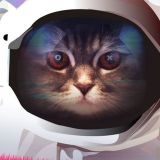   Кот Шрёдингера