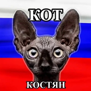   Кот Костян - официальный канал🇷🇺
