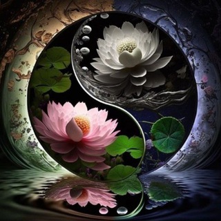   💞Mагия везде,повсюду💞