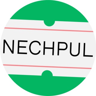   nechpul — pul haqidagi media