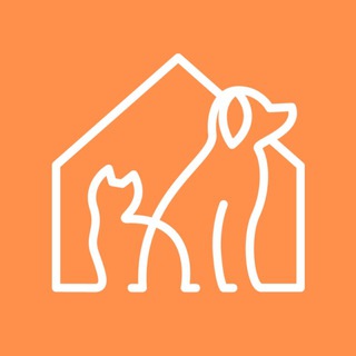   Животные города_В