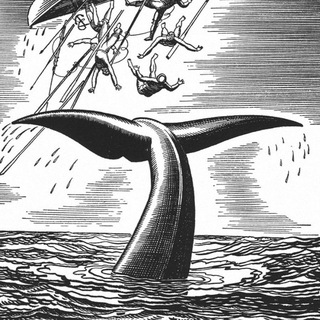   Рыба Лоцман