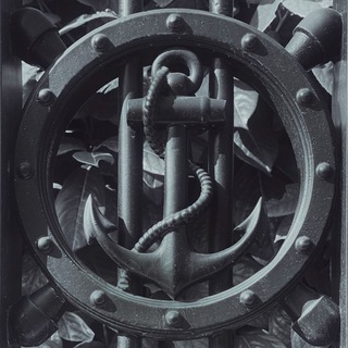   Солоно. Стихи. Ольга Старушко