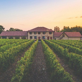   Винотеррия/Nesterov winery