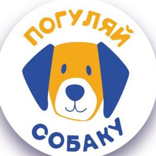   Погуляй собаку