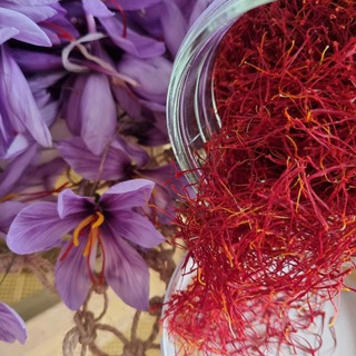   Шафрановые сказки