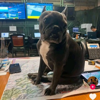   Угольный #БудетНовохазарияБудет